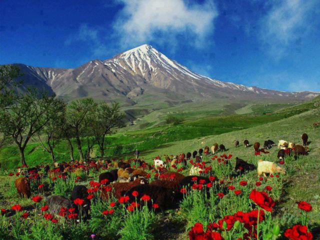Kurdistan-Life-Mountains